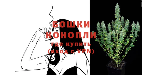 PSILOCYBIN Нягань