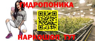 винт Будённовск