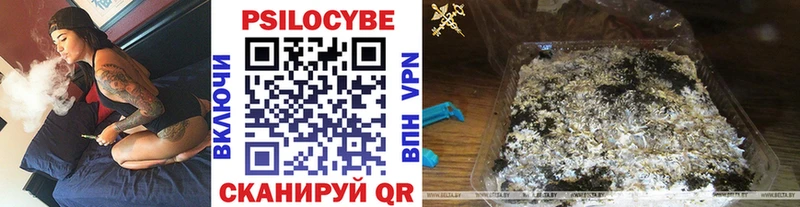 darknet наркотические препараты  Великие Луки  Псилоцибиновые грибы мицелий 
