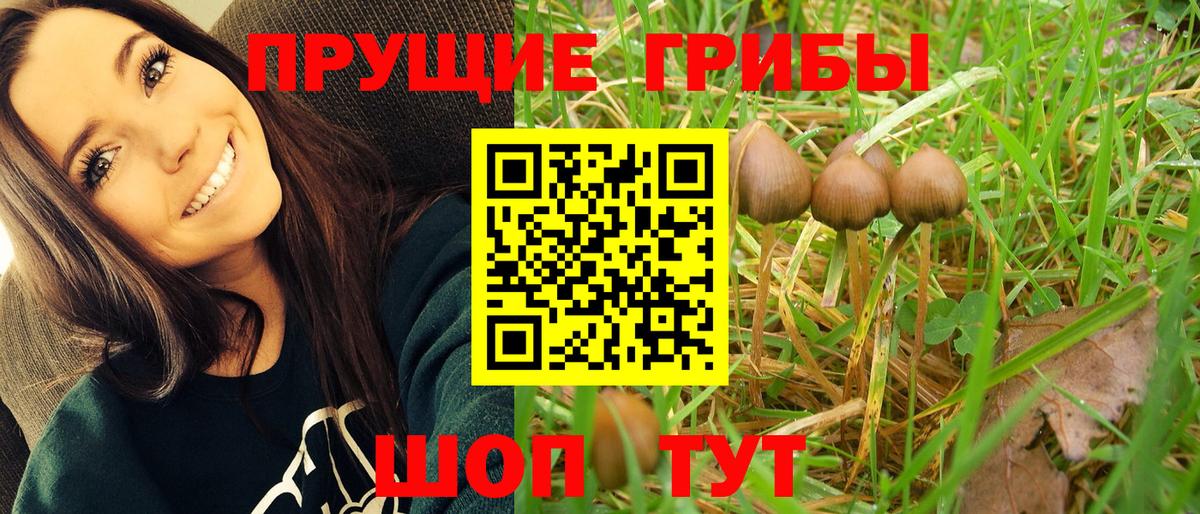 Псилоцибиновые грибы MAGIC MUSHROOMS Великие Луки