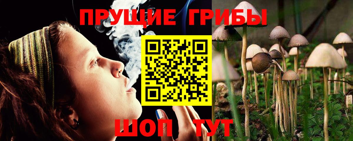 где продают   Псилоцибиновые грибы GOLDEN TEACHER  Вход с VPN  Великие Луки 