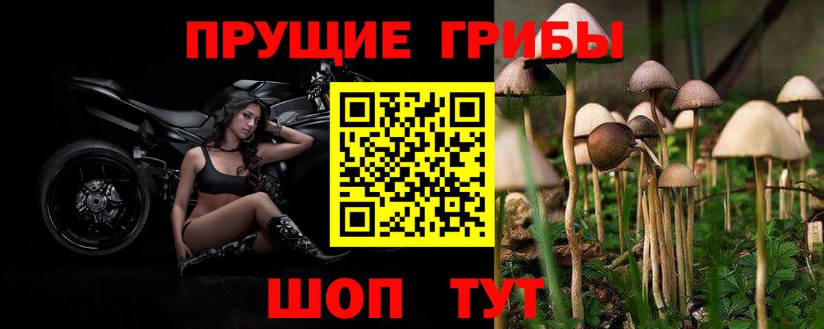 Галлюциногенные грибы MAGIC MUSHROOMS  Великие Луки 